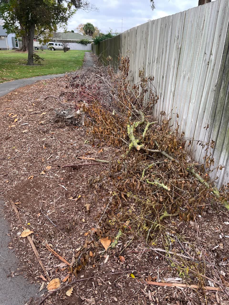 The photograph attached to this parks report