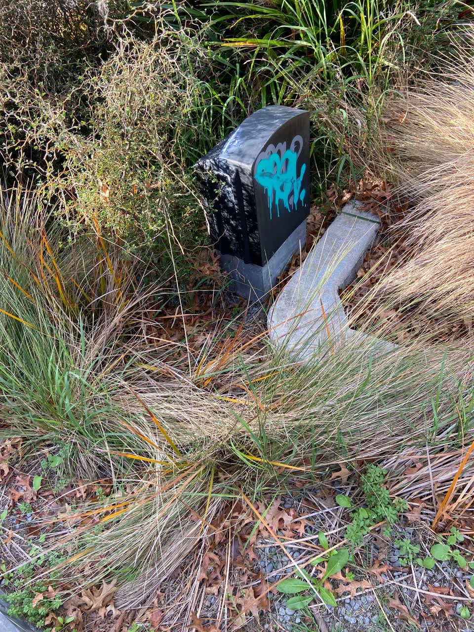 The photograph attached to this graffiti report