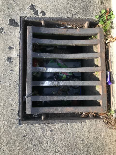 Sewer - Leak / Blockage, a report photo
