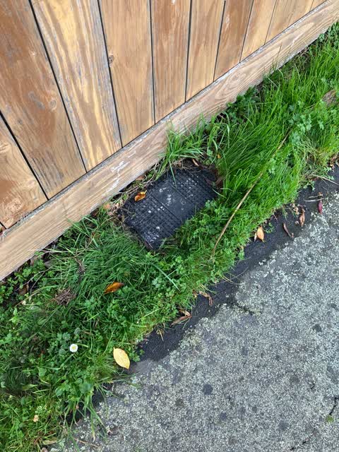 Water Leak, a report photo