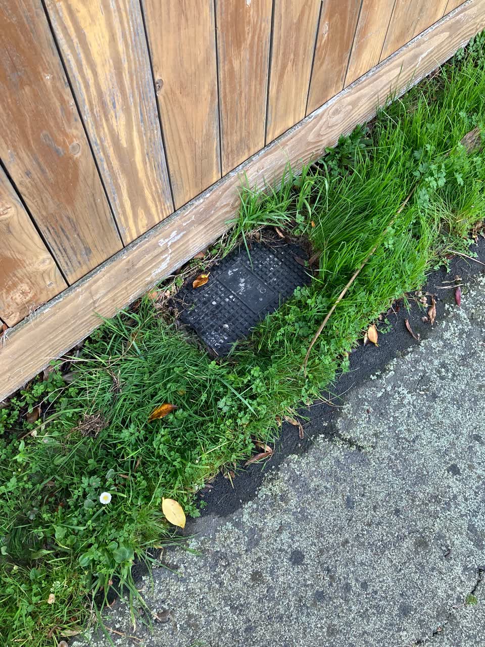 The photograph attached to this water leak report