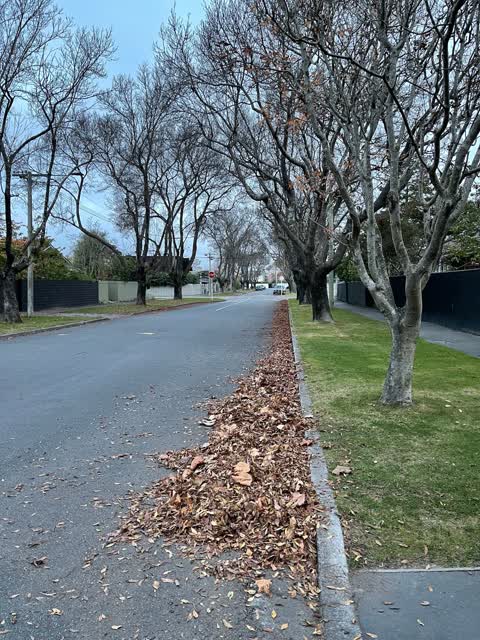 Roading/Streets, a report photo