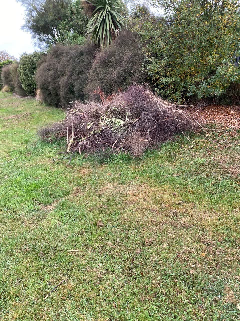 The photograph attached to this parks report