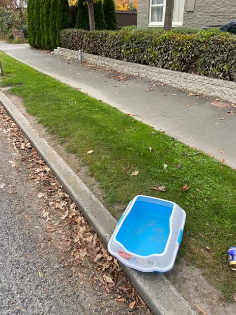 Rubbish/Recycling, a report photo