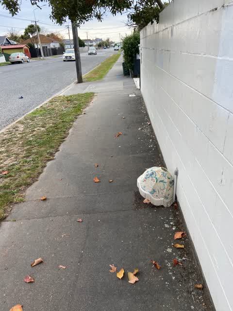 Rubbish/Recycling, a report photo