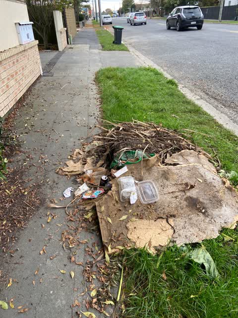 Rubbish/Recycling — a report photo