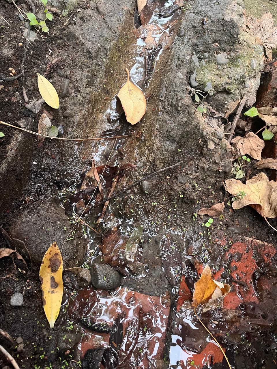 The photograph attached to this water leak report