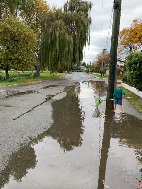 Roading/Streets — a report photo