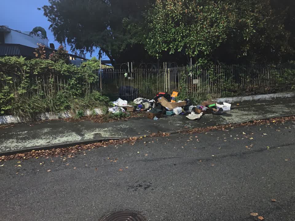 The photograph attached to this rubbish/recycling report
