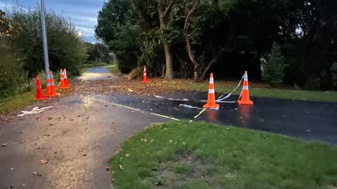 Parks, a report photo