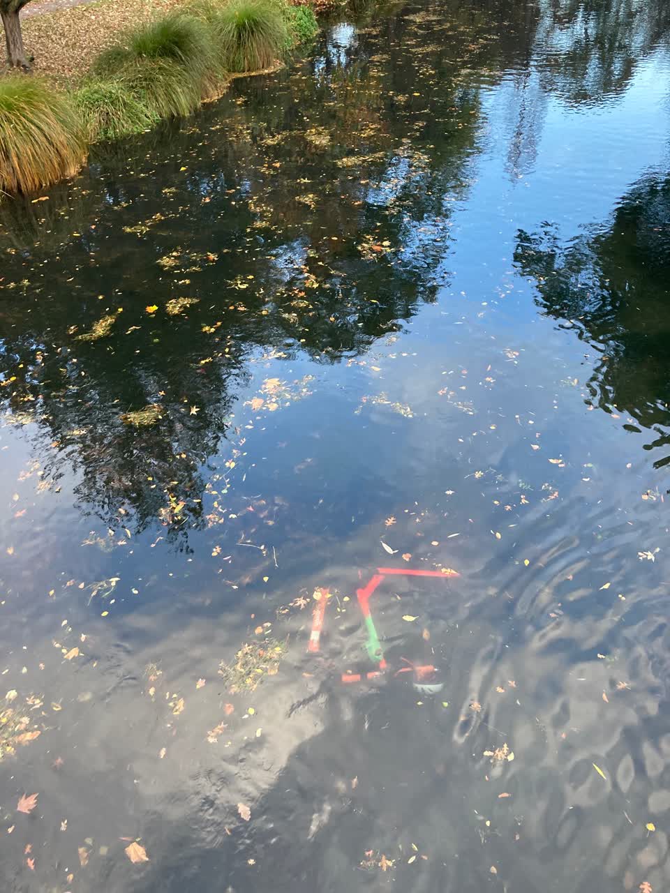 The photograph attached to this parks report