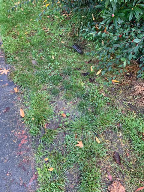 Water Leak, a report photo