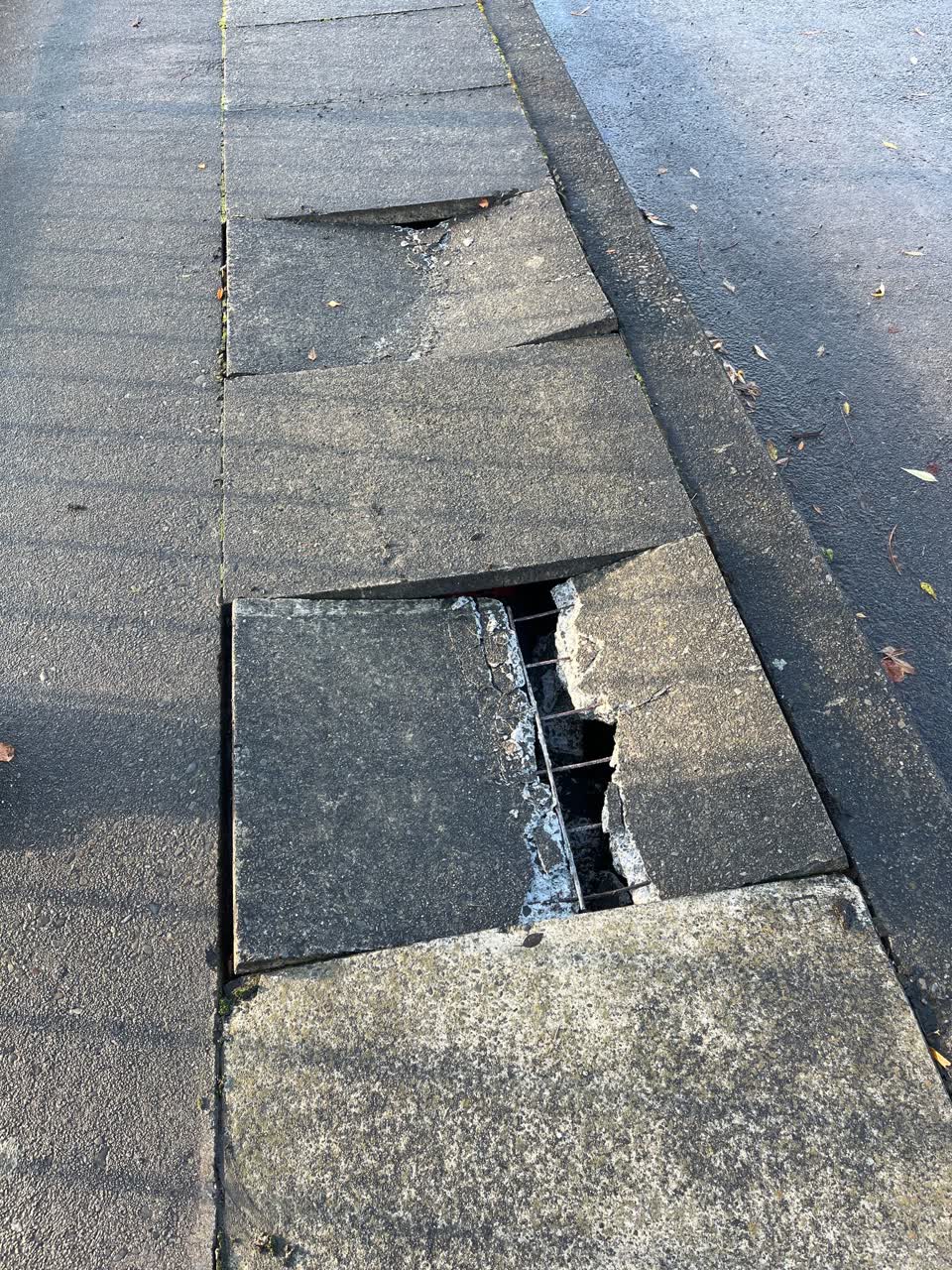 The photograph attached to this roading/streets report