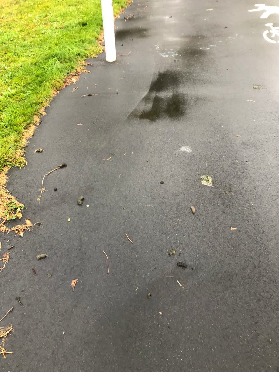 The photograph attached to this parks report
