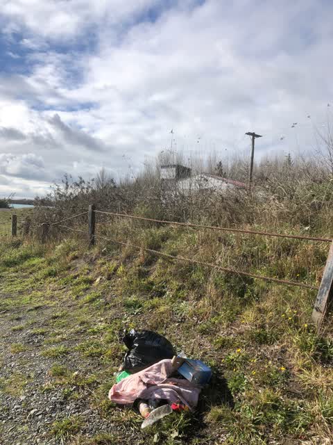 Parks, a report photo