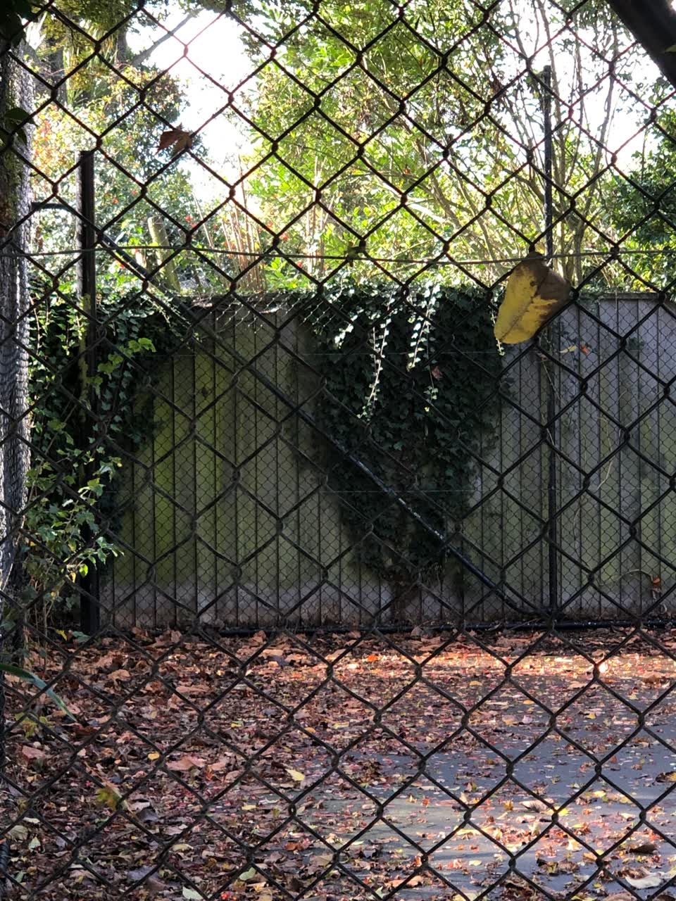 The photograph attached to this parks report