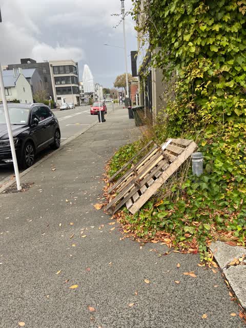 Rubbish/Recycling, a report photo