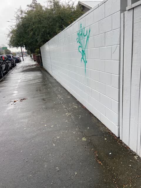 Graffiti, a report photo