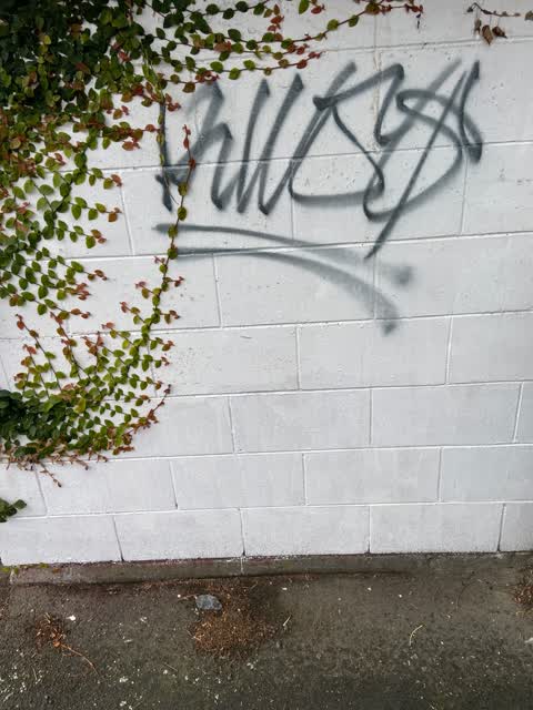 Graffiti, a report photo
