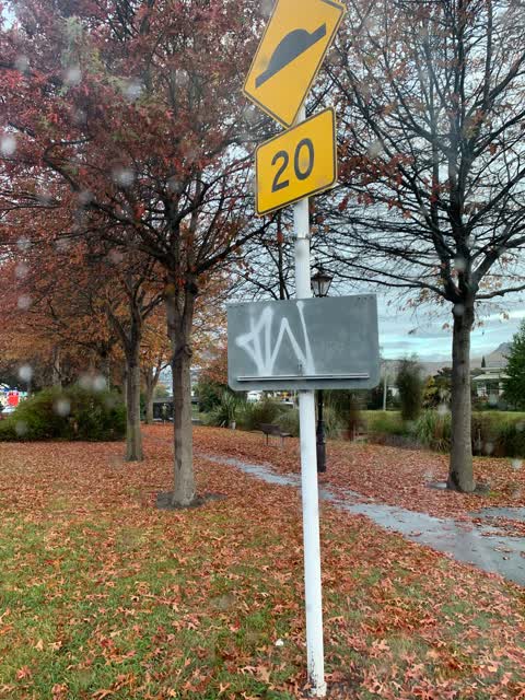 Graffiti, a report photo