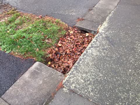 Roading/Streets, a report photo