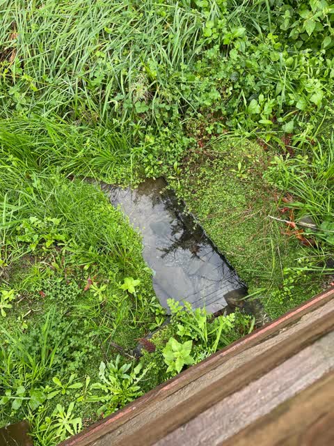 Water Leak, a report photo