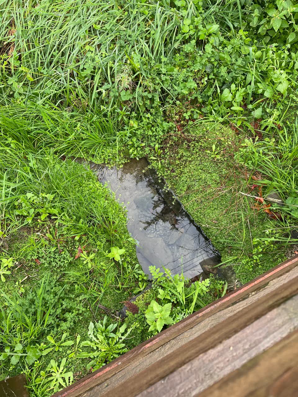 The photograph attached to this water leak report