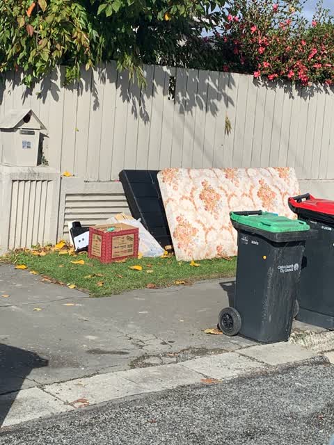 Rubbish/Recycling, a report photo