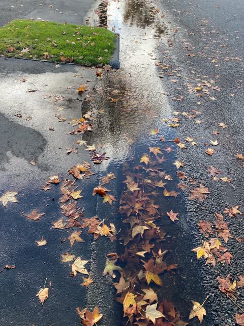 Flooding, a report photo