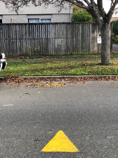 Roading/Streets, a report photo