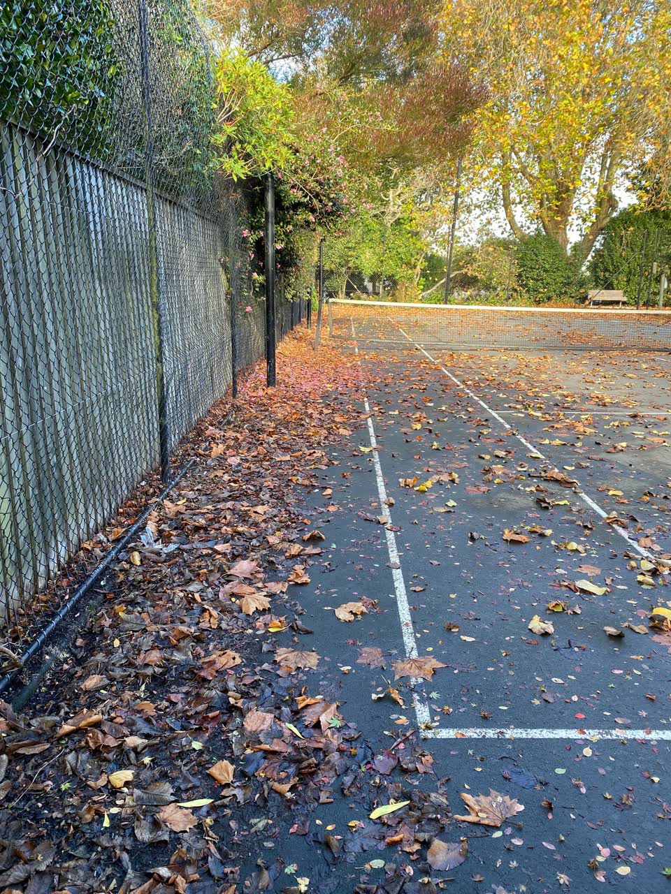 The photograph attached to this parks report