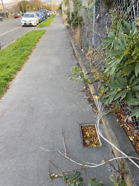 Roading/Streets, a report photo