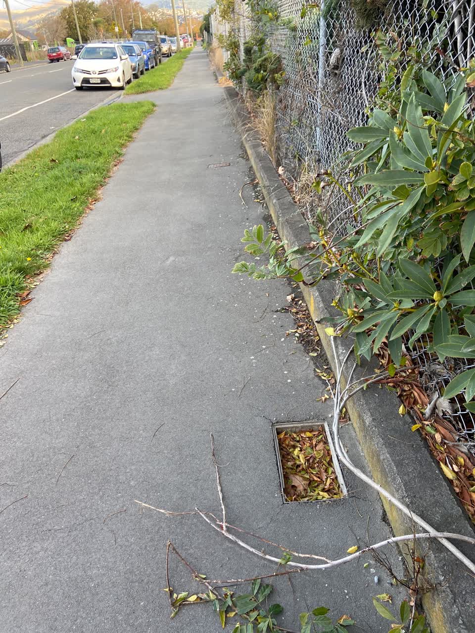 The photograph attached to this roading/streets report