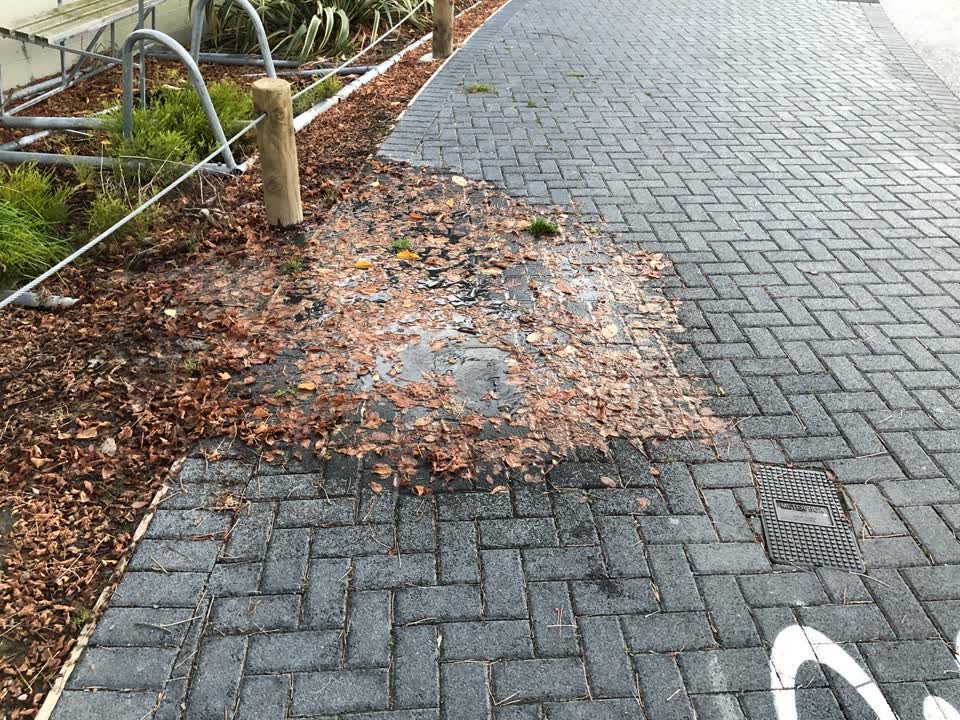 The photograph attached to this water leak report
