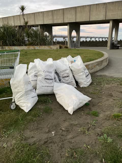 Rubbish/Recycling — a report photo