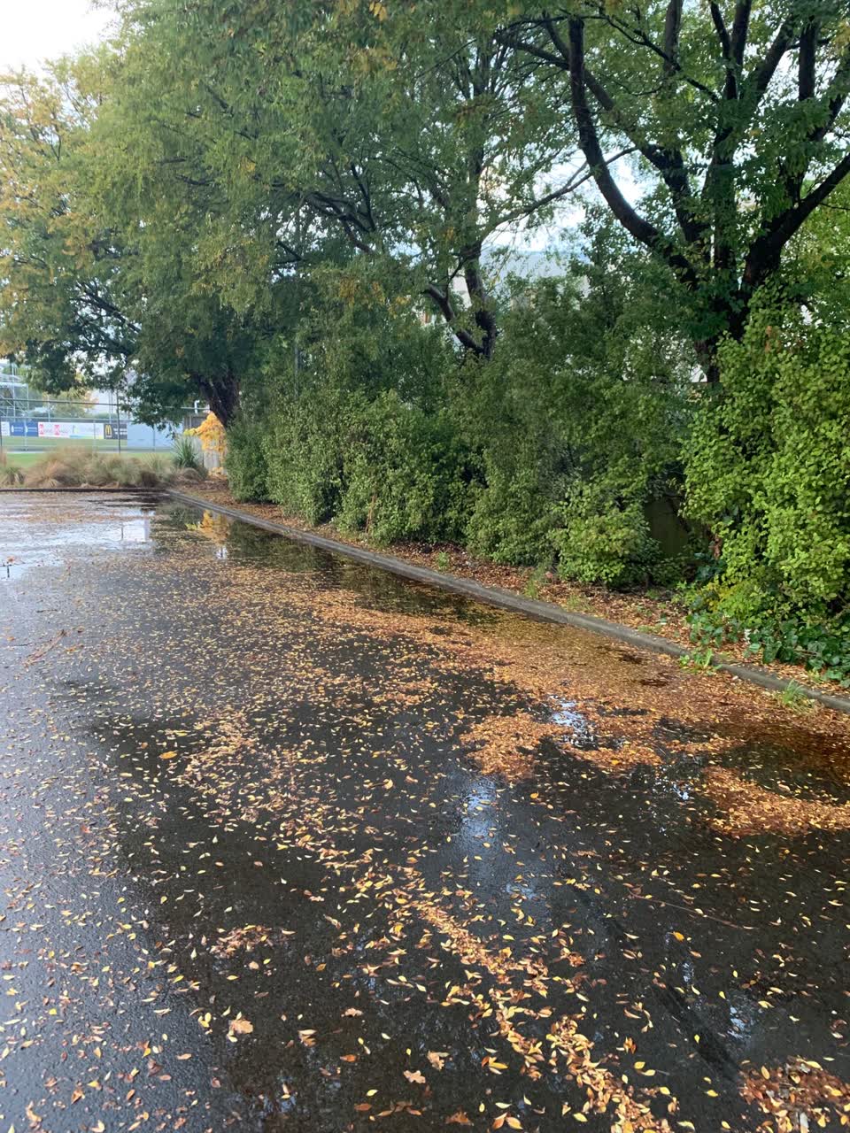 The photograph attached to this parks report