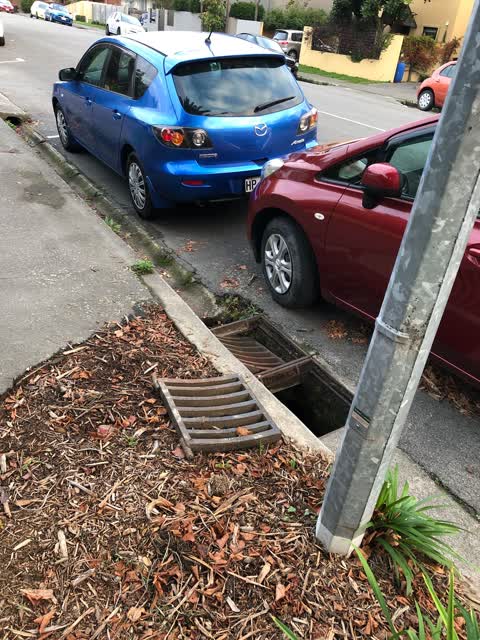 Roading/Streets, a report photo