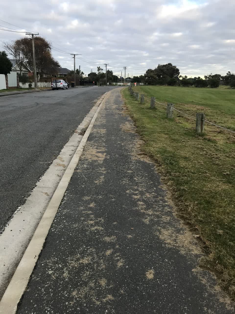 The photograph attached to this parks report