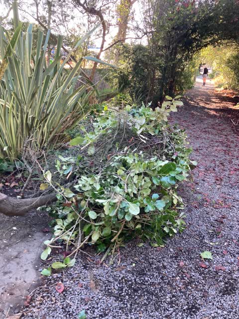 Parks — a report photo