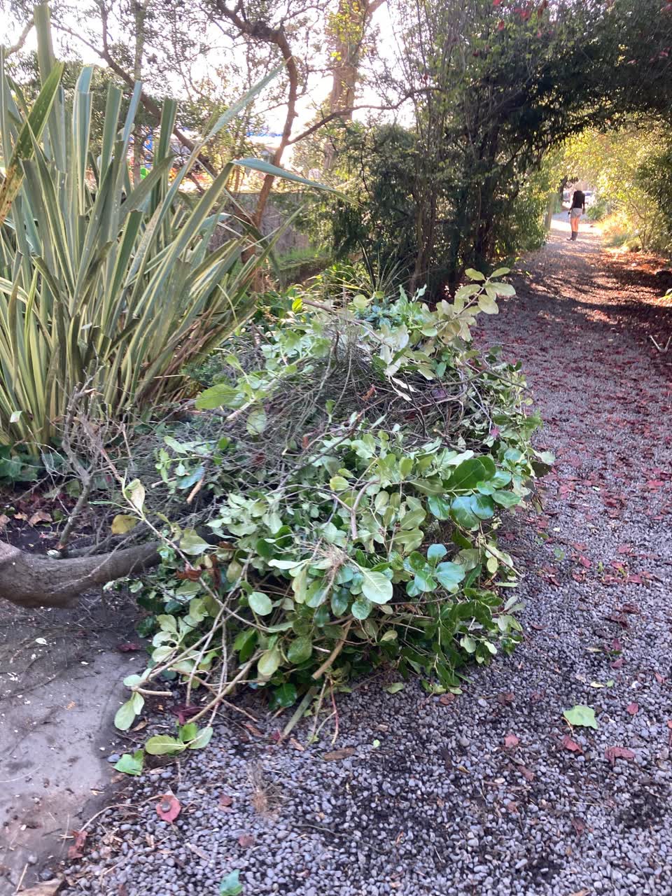 The photograph attached to this parks report