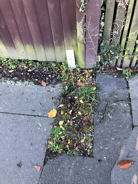 Roading/Streets, a report photo