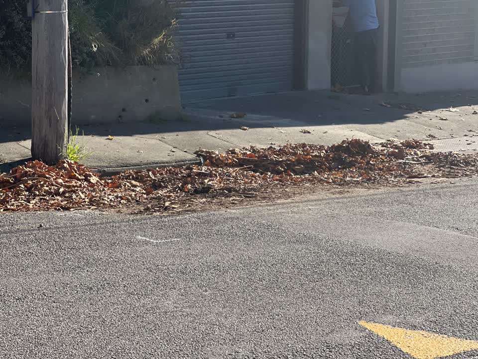 The photograph attached to this roading/streets report