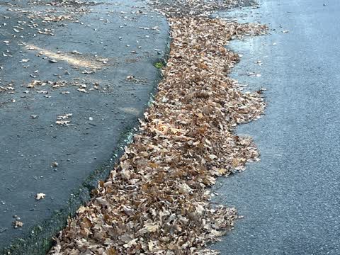 Roading/Streets, a report photo