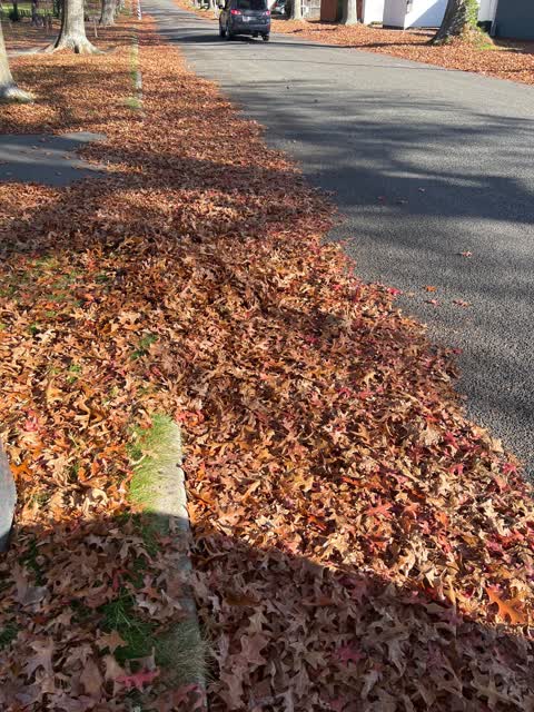 Roading/Streets, a report photo