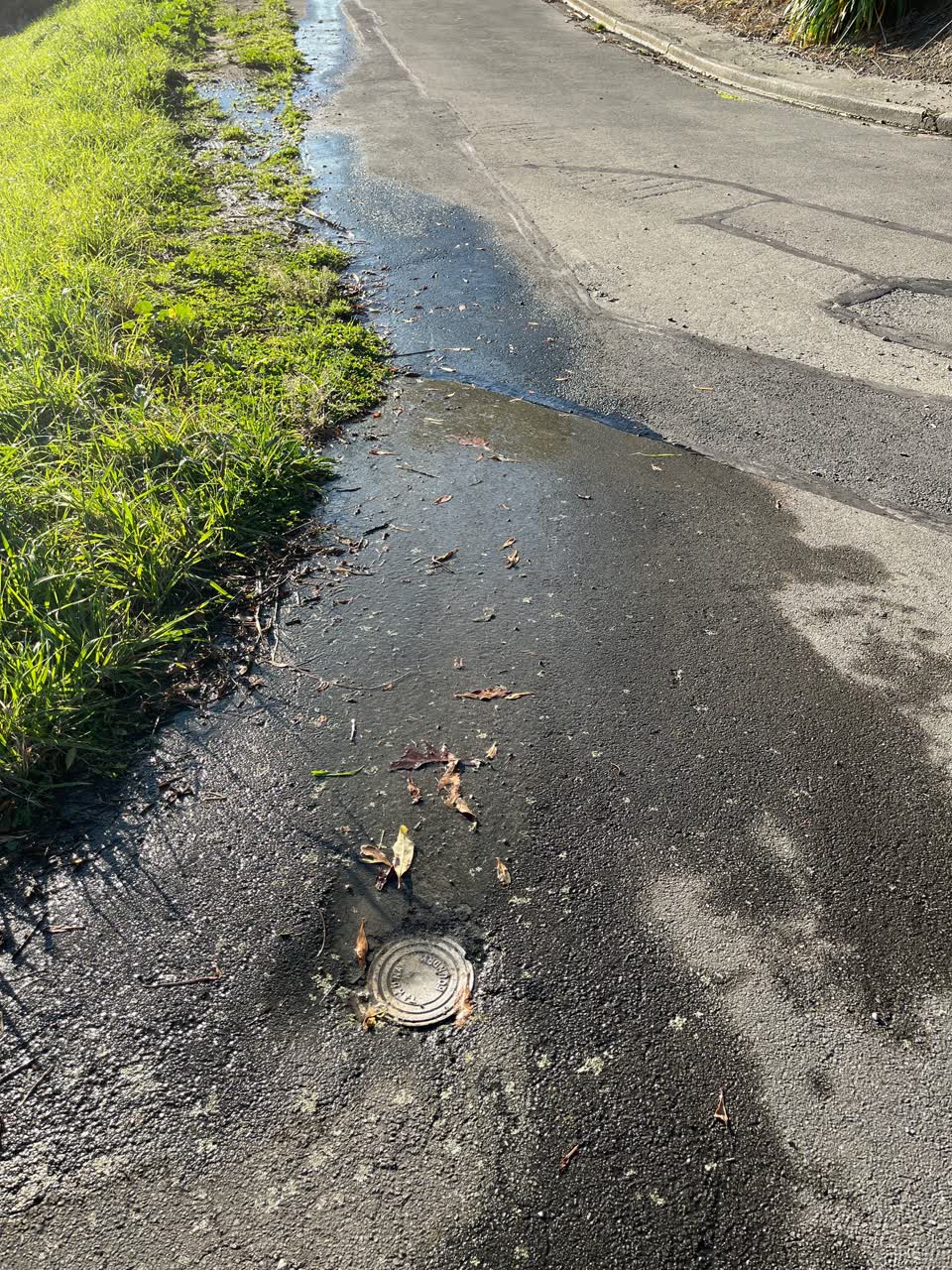 The photograph attached to this water leak report