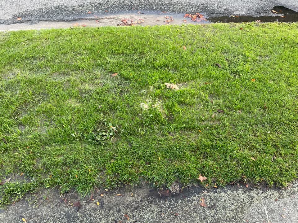 The photograph attached to this sewer - leak / blockage report
