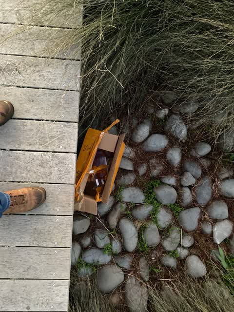 Rubbish/Recycling, a report photo