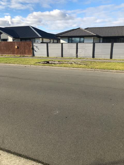 Roading/Streets, a report photo