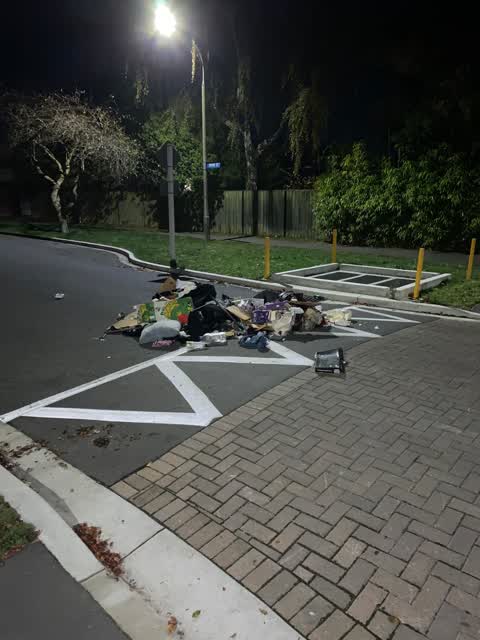 Rubbish/Recycling, a report photo