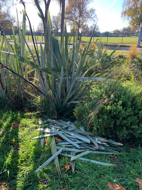 Rubbish/Recycling, a report photo